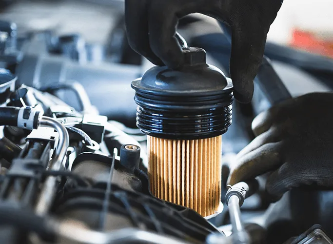 Company Introduction