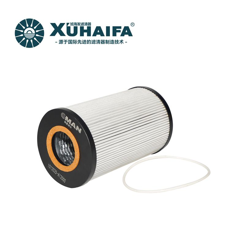 1012025-A12000 Oil Filter