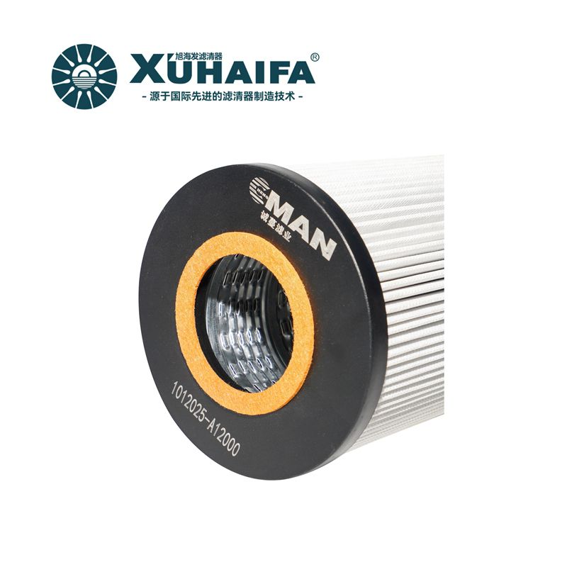 1012025-A12000 Oil Filter