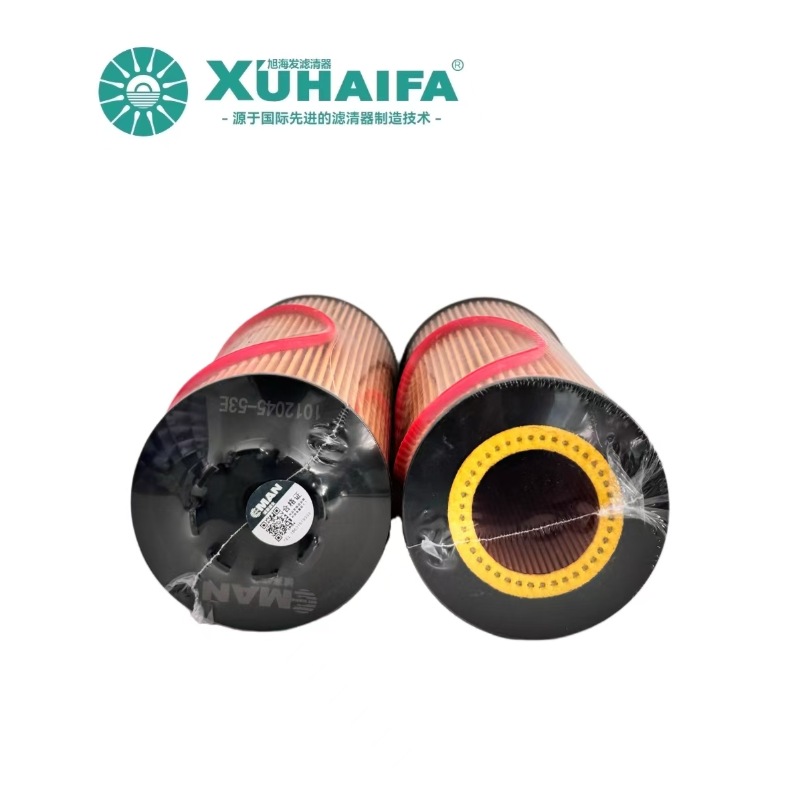 1012045-53E Oil Filter